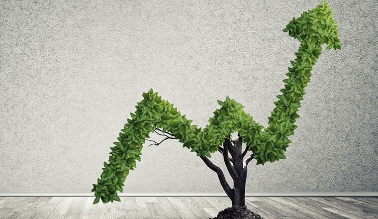 business growing